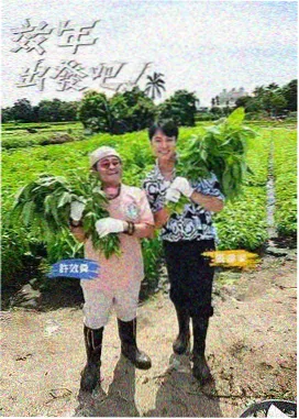 无颜之月 音乐原声带